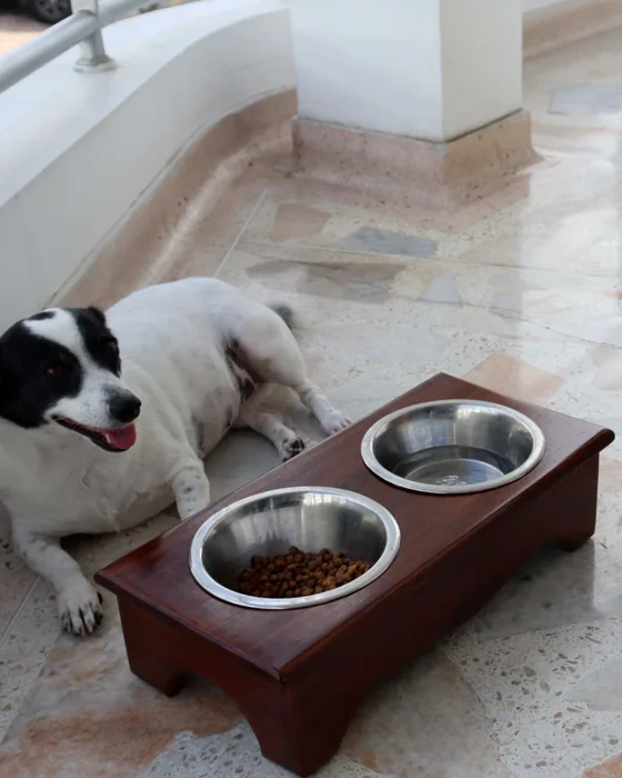 Comedero Elevado para Perro Pequeño - Soporte de Madera con Platos