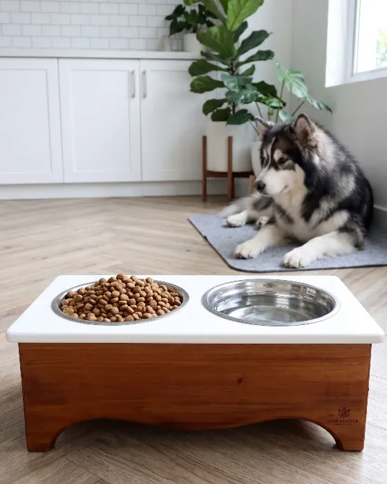 Comedero Elevado para Perro Grande - Madera y Acero Inoxidable imagen 3